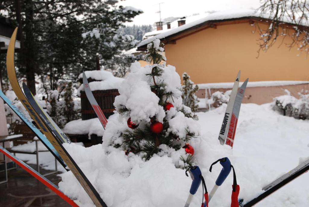 Hotel San Valier Cavalese Εξωτερικό φωτογραφία
